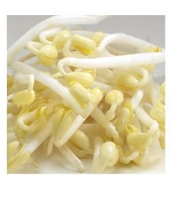 Seeds germinate - Mungo Bean (green soybeans) BIO, 200 g